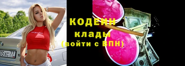 бошки Каменногорск