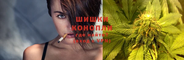 бошки Каменногорск