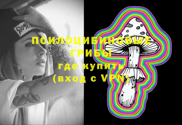 наркотики Каменка
