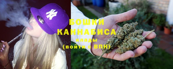 бошки Каменногорск