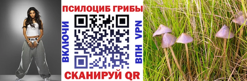 Галлюциногенные грибы Magic Shrooms OMG зеркало Котовск